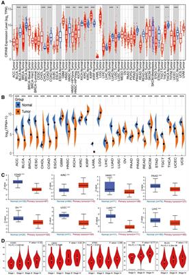 The role of CRYAB in tumor prognosis and immune infiltration: A Pan-cancer analysis